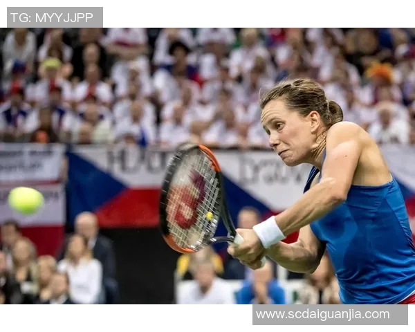 北京网球队在联合会杯积分榜上以55分稳居第一名展现强劲实力