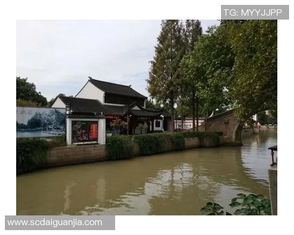 南京排球队逆袭之旅揭秘:从默默无闻到奥运荣耀的奋斗历程