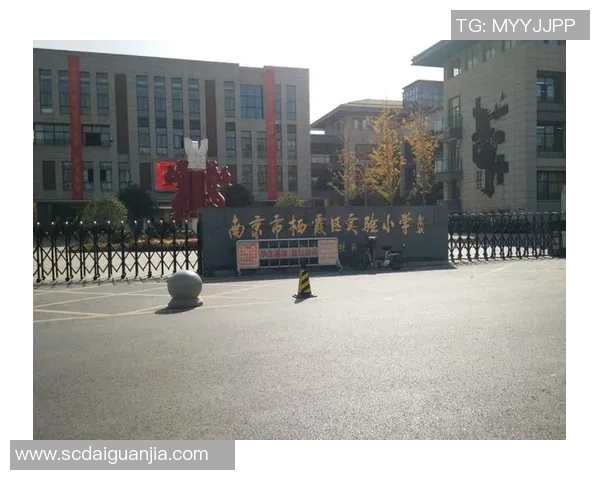 南京足球队的成长之路：从默默无闻到荣耀绽放的纪实故事