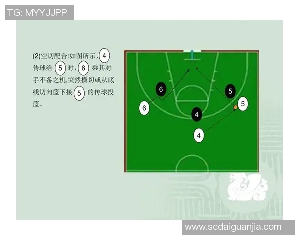 深入探讨上海羽毛球队配合表现的数据分析与战术优化策略