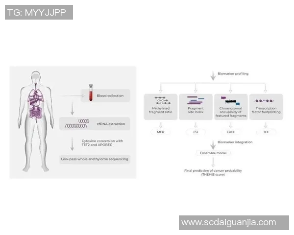 西安排球队的团队协作表现数据分析与提升策略探讨