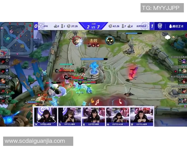 聚焦王者荣耀TES战队配合策略与战术分析探讨