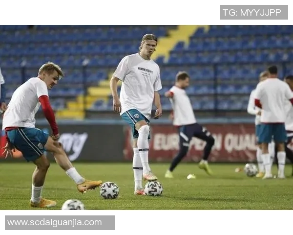 荷兰与爱沙尼亚足球比赛精彩比分回顾与分析