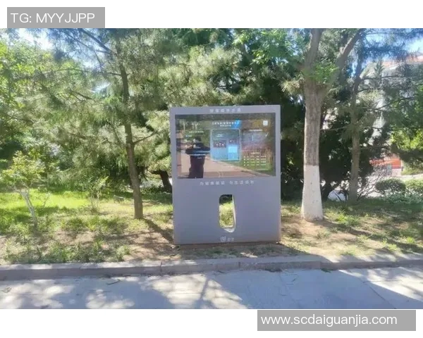 在顾全大局中寻求平衡与和谐的智慧与实践 在顾全大局中寻求平衡与和谐的智慧与实践