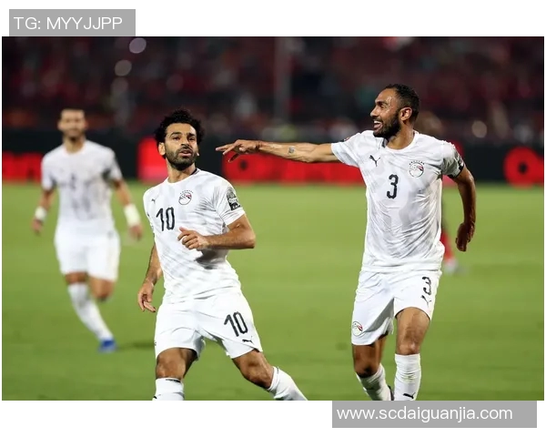 尼日尔足球队迎战埃及队期待精彩对决与历史交锋的精彩瞬间