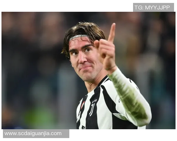 弗拉霍维奇：从天才前锋到意甲巨星的华丽蜕变之路