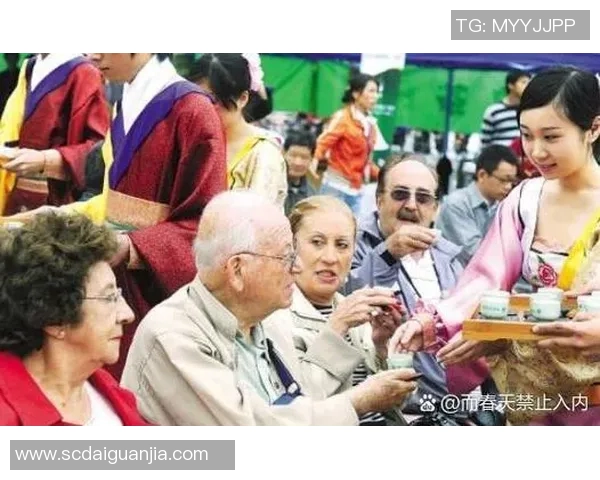 斯通斯乐队的音乐传奇与文化影响力探讨之旅