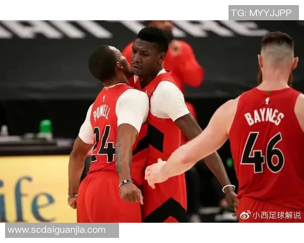 猛龙与黄蜂历史交锋记录分析及战绩对比探讨