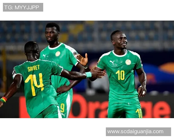 突尼斯与塞内加尔激战正酣谁将赢得这场非洲足球盛宴