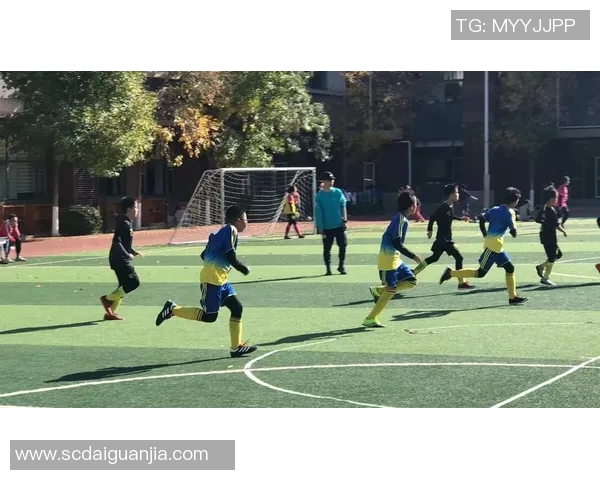 深度对话:周磊的足球人生与梦想追逐之路