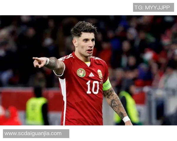 索博斯洛伊的魅力探秘与历史文化价值的深度剖析