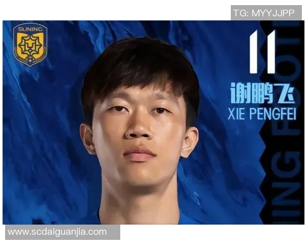 深入探讨上海飞盘队的配合表现与数据分析成果