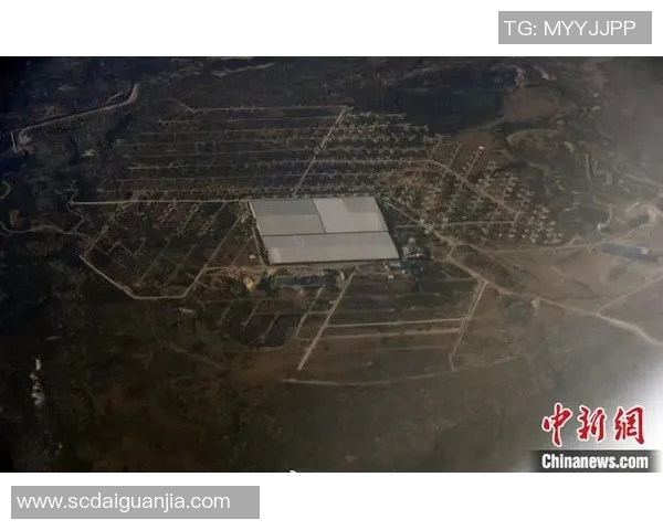 重磅专题：探索成都滑板队如何实现整体压制与革新之路