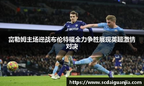 333体育